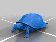 Box Turtle 3D Printer Model