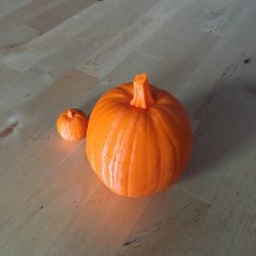 Pumpkin 3D Printer Model