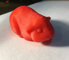 Guinea Pig V.2 3D Printer Model