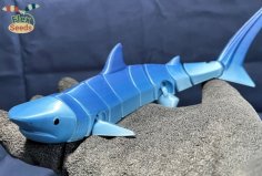 Flexi Tiger Shark (print-in-place) 3D Printer Model