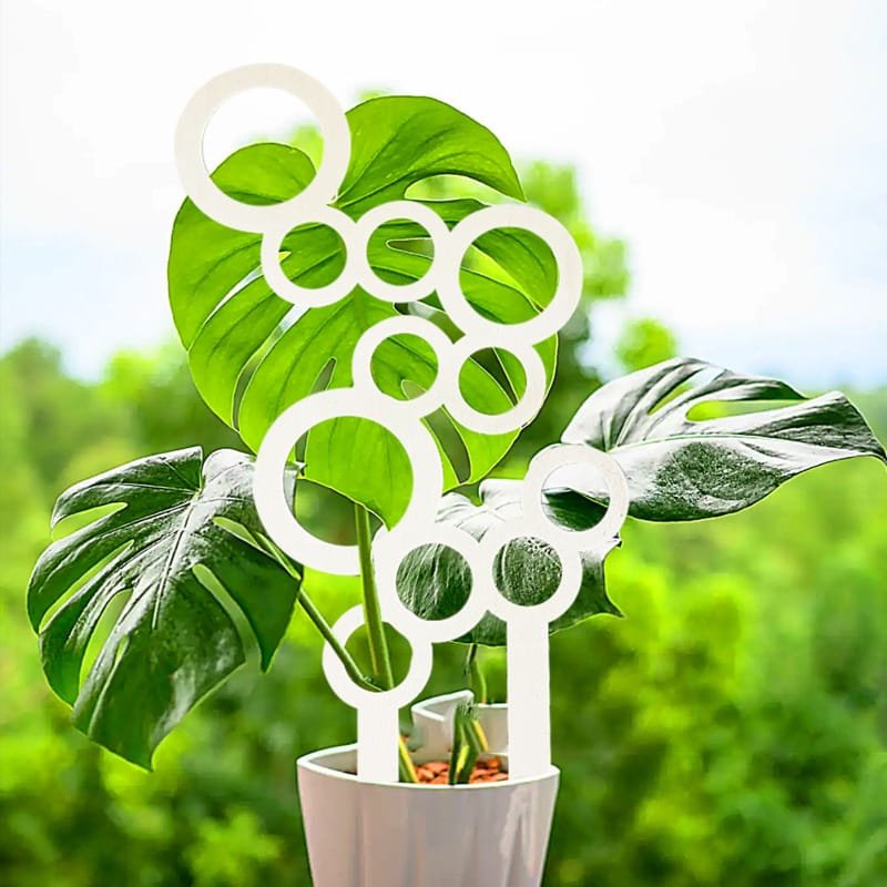 Laser Cut Potted House Plants Support Trellis Wooden Indoor Plant Trellis