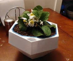 Self Watering Flower Pot 3D Printer Model