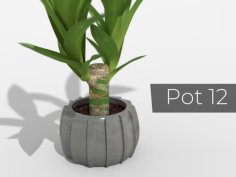 Pot_12 3D Printer Model