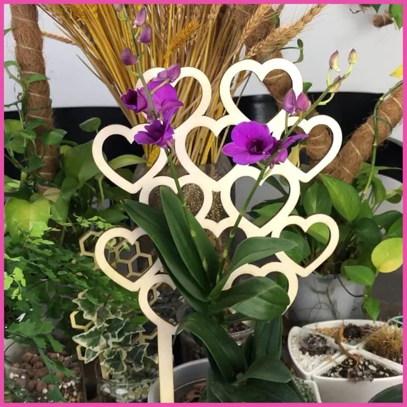 Laser Cut Heart Trellis for Indoor Potted Plants Climbing Vine Fixed Frame