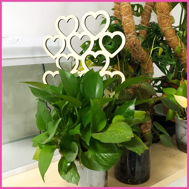 Laser Cut Heart Trellis for Indoor Potted Plants Climbing Vine Fixed Frame