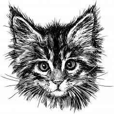 Handgezeichnete Katze