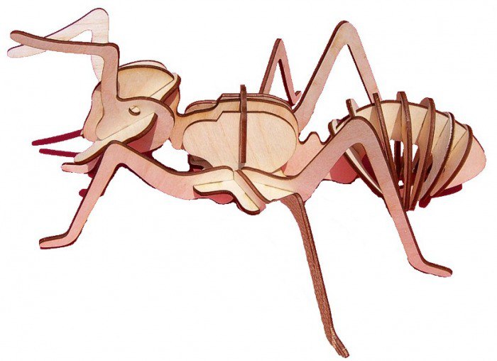 Лазерная резка муравья-насекомого