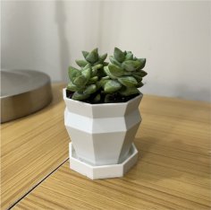 Small Succulent Pot 3D Printer Model