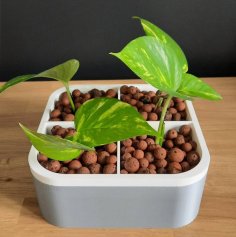 Hydroponic Pot For Cuttings 3D Printer Model