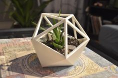 D20 Succulent Planter 3D Printer Model