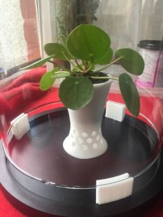 Under The Dome – Planter (Small) 3D Printer Model