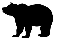 صورة ظلية الدب
