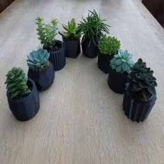 Succulent Plant Pots 3D Printer Model