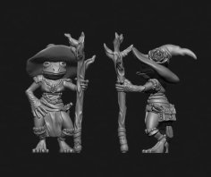 Female Frog Mage (remake) 3D Printer Model