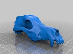 Dog Skull 3D Printer Model