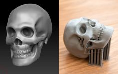 Skull 3D Printer Model