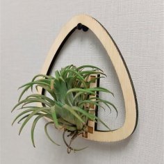 Laser Cut Wooden Air Plant Holder Wall Decor