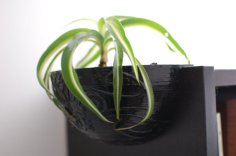 Shelf Plant Pot 3D Printer Model