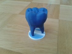 Baby Tooth Box 3D Printer Model