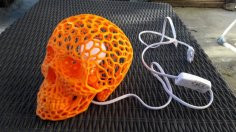 Voronoide Skull Lampe 3D Printer Model