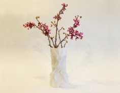 Persian Spring Vase 3D Printer Model