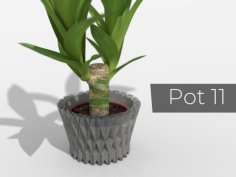 Pot_11 3D Printer Model