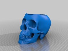 Skull Pot With Watering Insert 3D Printer Model