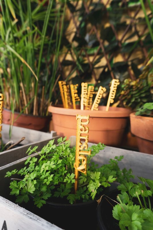 Set Of Herb Signs 3D Printer Model Download Free STL File 3axis.co