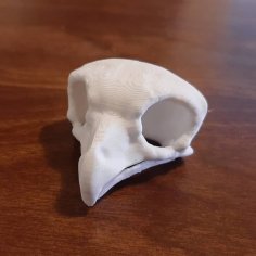 Vulture Skull 3D Printer Model