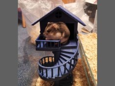 Dwarf Hamster House 3D Printer Model