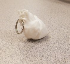 Anatomical Heart Keychain 3D Printer Model