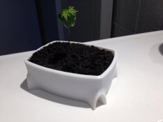 Bonsai Pot 3D Printer Model