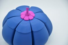 Pumpkin Container 3D Printer Model