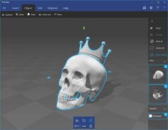 Skullcrown 3D Printer Model