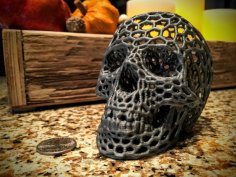 Skull (Voronoi Style) 3D Printer Model