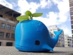 Whale Pot 3D Printer Model