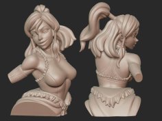 Avatar Korra Bust 3D Printer Model