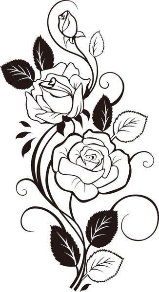 Róża winorośli rysunek wektor sztuki plik dxf