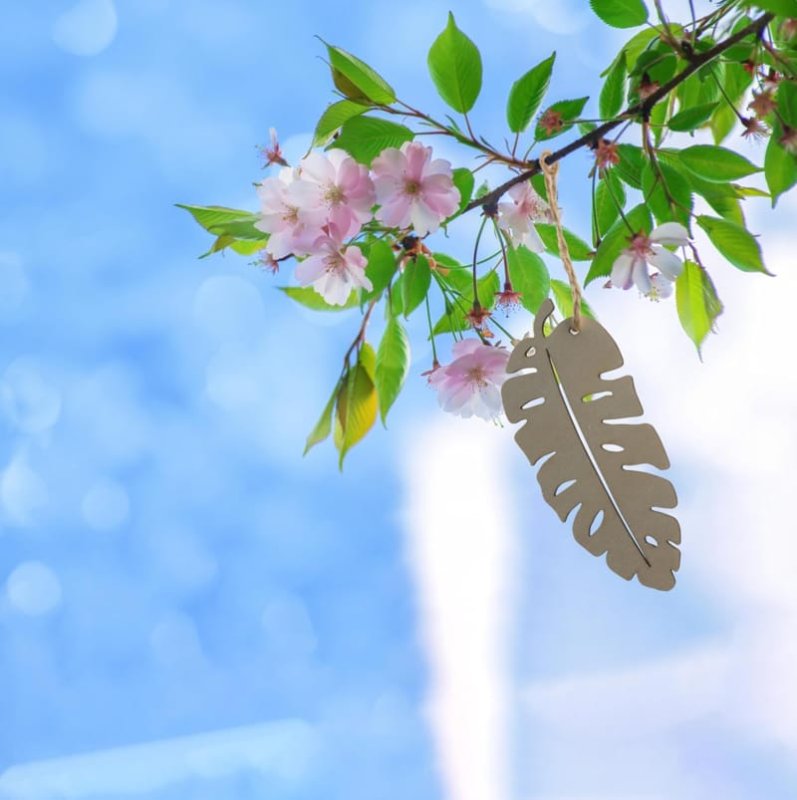 Laser Cut Monstera Leaves Wood Cutout Diy Craft Party Decoration Art Embellishment Room Decor