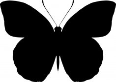 patrón de mariposa