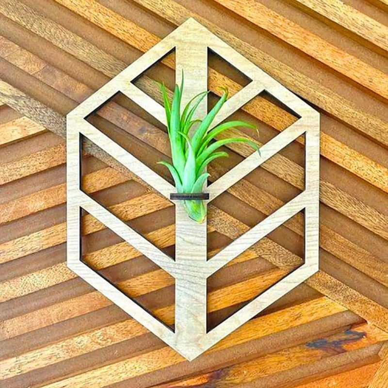 Laser Cut Air Plant Hanging Display
