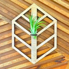 Laser Cut Air Plant Hanging Display