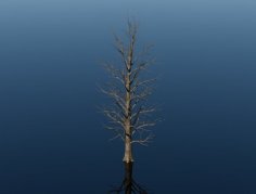 Tree 3D Printer Model