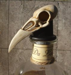 Raven Skull Bottle Stop 3D Printer Model