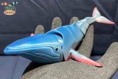 Flexi Humpback Whale (print-in-place) 3D Printer Model