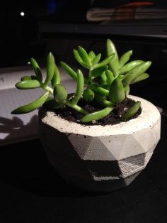 Faceted Planter 3D Printer Model