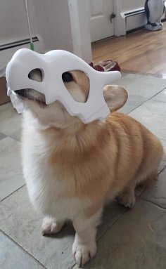 Cubone Dog Mask 3D Printer Model