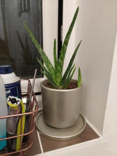 Print In Place Planter With Drainage And Dish 3D Printer Model