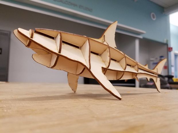 Tiburón cortado con láser
