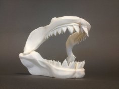 Great White Skull 3D Printer Model